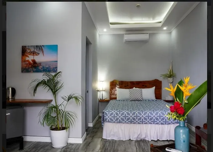 Palm View Hotell Moalboal